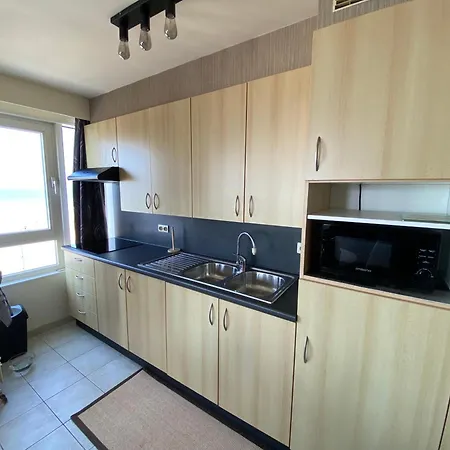 2 Slaapkamer Op De Dijk Westende Met Frontaal Zeezicht Lejlighed *